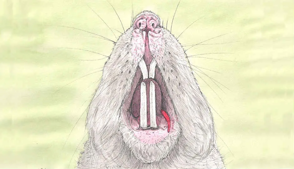 Image for Even Rat Pups Laugh Once In A While Part 2