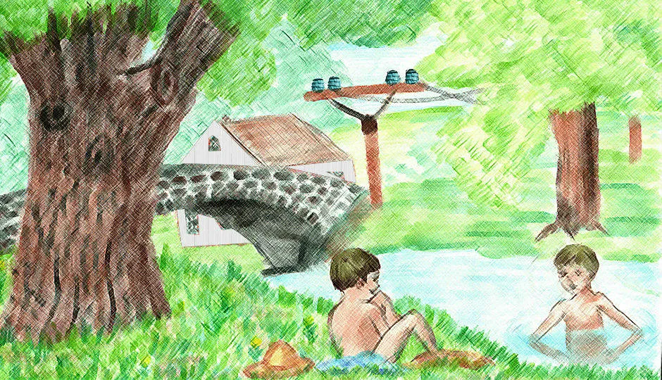 Image for The Pin Insulator