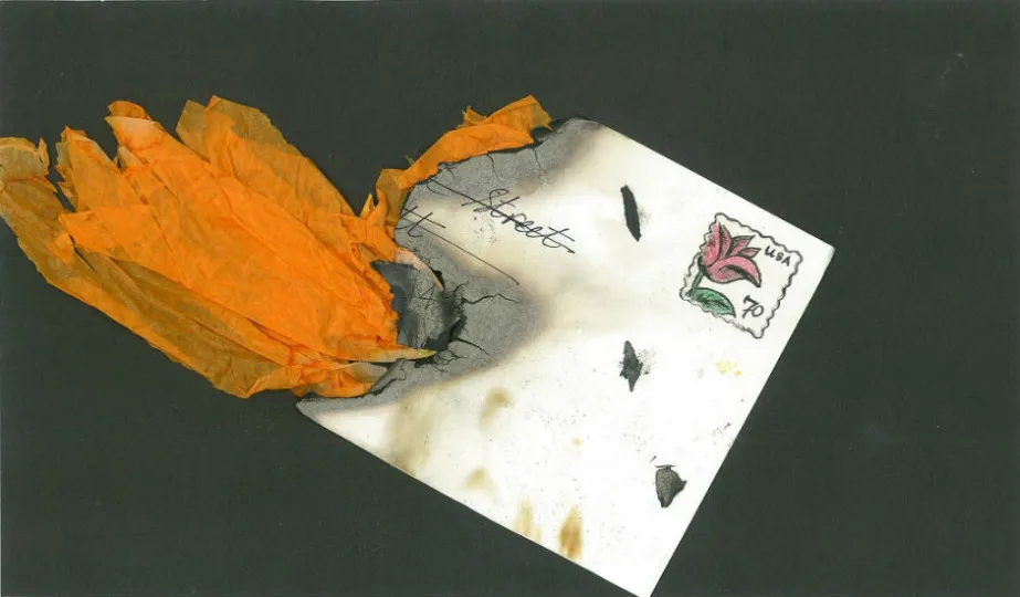 Image for Fruit Breakfasts