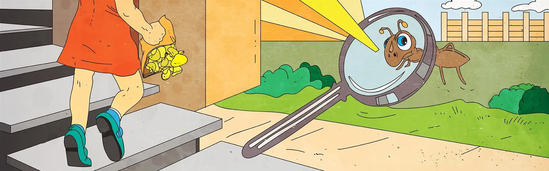 Image for Vaila And The Ant