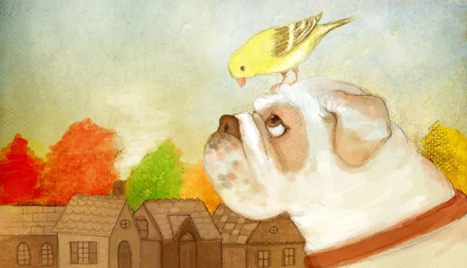 Image for A Song for Sweetie