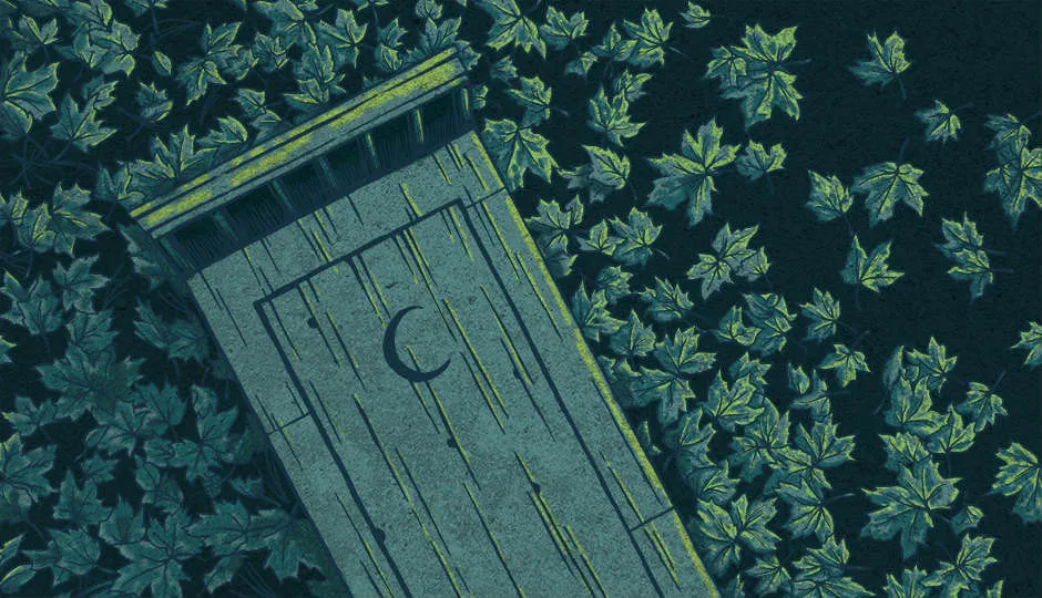 Image for The Halloween Outhouse Caper