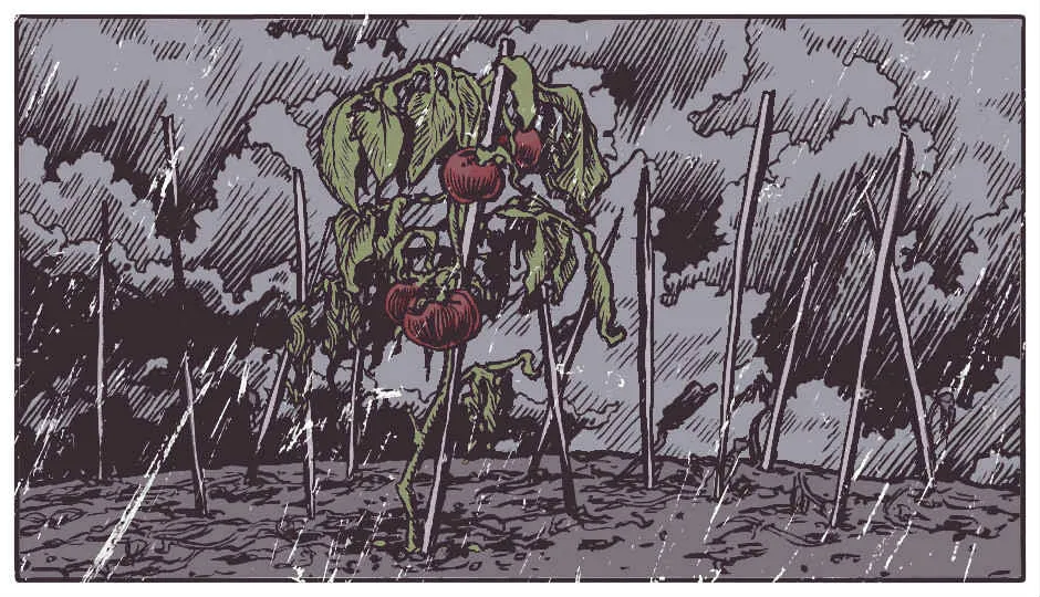 Image for A Matter of Time