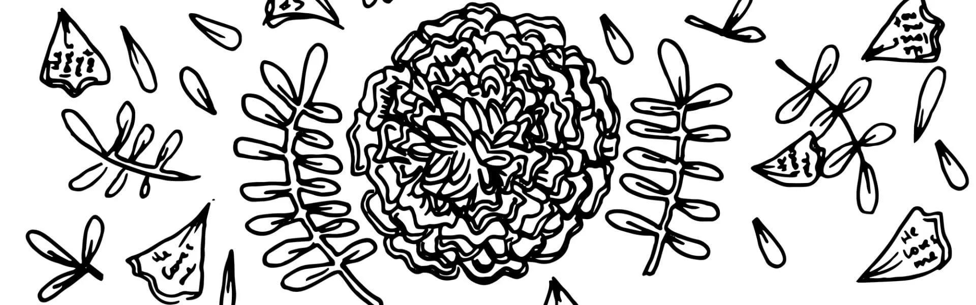 Image for Chlorophyll and Romance