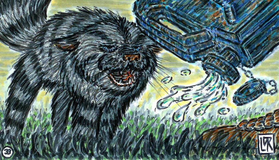 Image for Feline Fireball