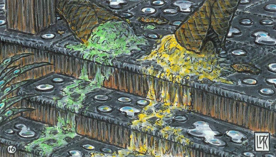 Image for Melted Ice Cream