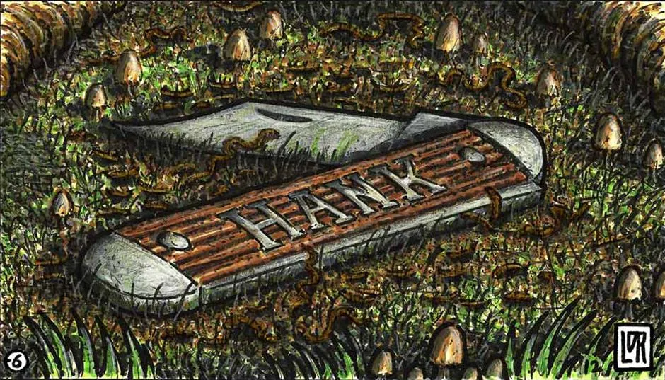 Image for The Meadow