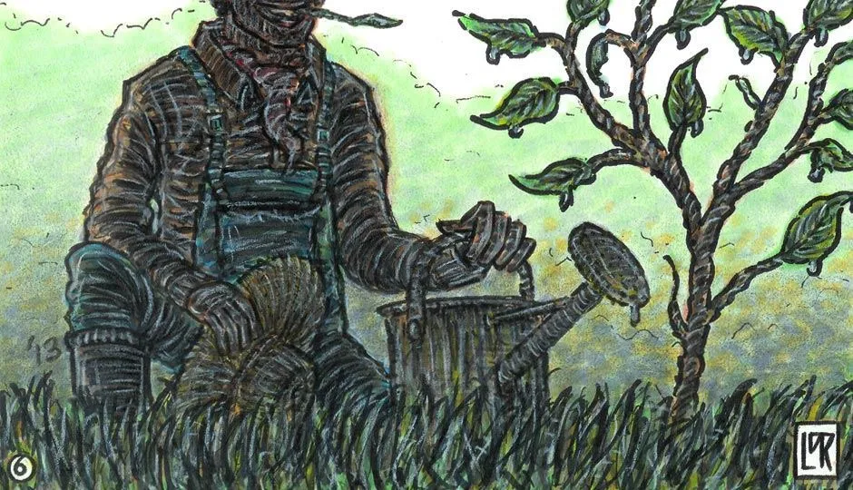 Image for The Orchard