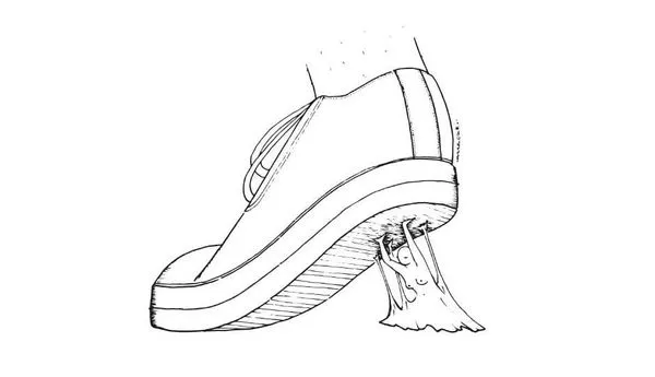 Image for Bubblegloop