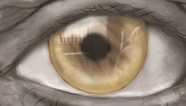 Image for Rental Property