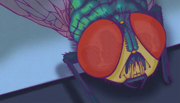 Image for To Supersede, To Sit Upon