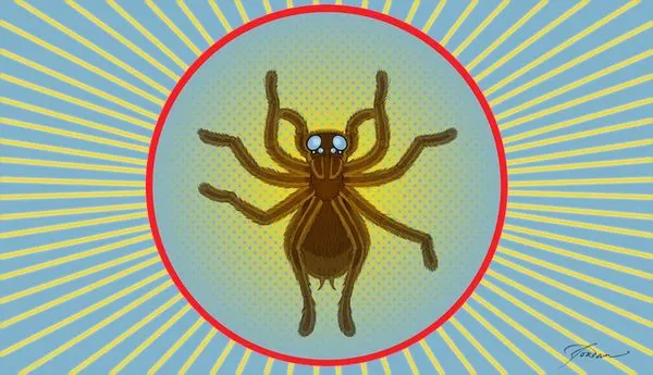 Image for Tarantulas in Flagstaff