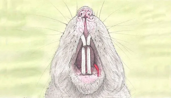 Image for Even Rat Pups Laugh Once In A While Part 2