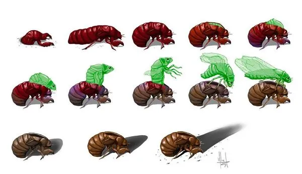 Image for Seventeen Year Itch