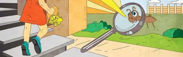 Image for Vaila And The Ant