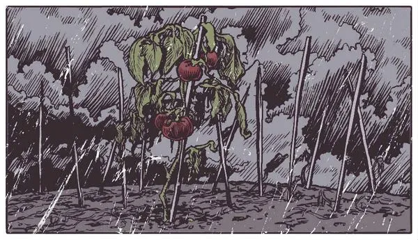 Image for A Matter of Time