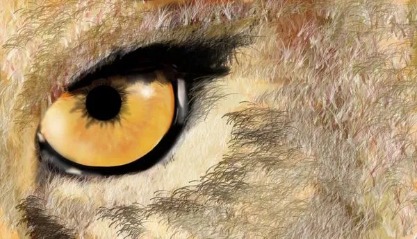 Image for Skinwalking