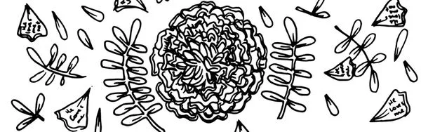 Image for Chlorophyll and Romance