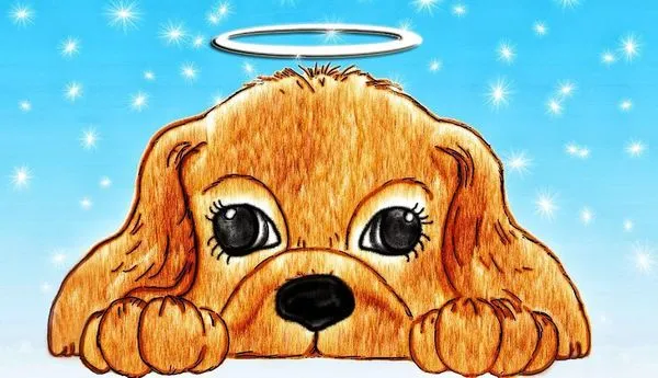 Image for Under Watchful Eyes