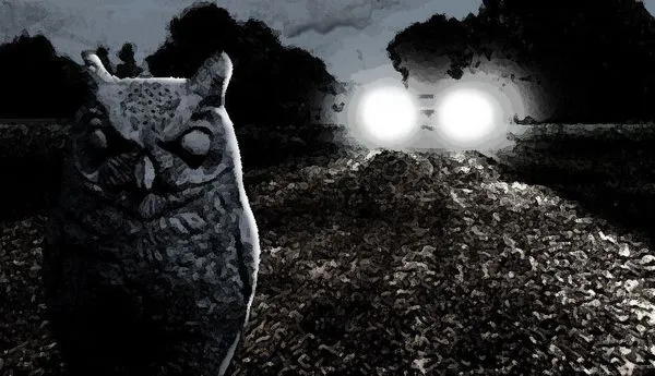 Image for Attie and the Owl