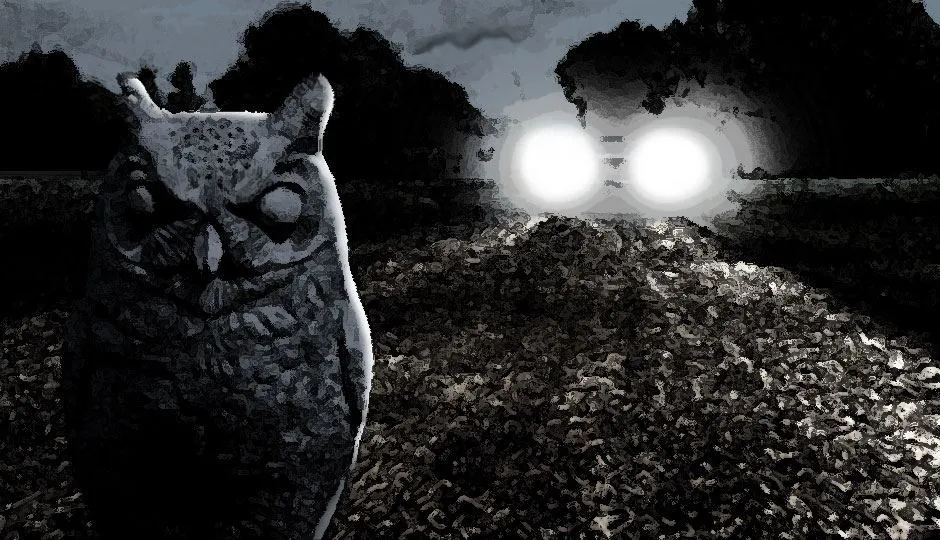 Image for Attie and the Owl