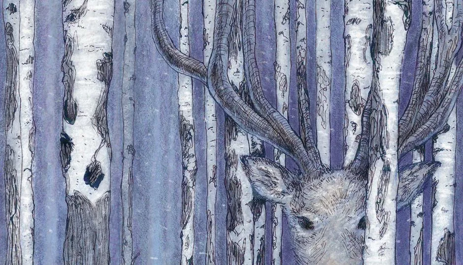 Image for My First Deer